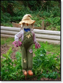 allotment pic 1